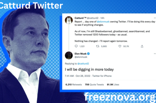 Catturd Twitter